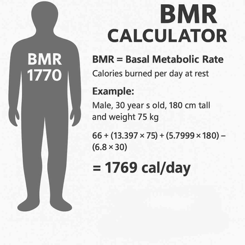 BMR Calculator
